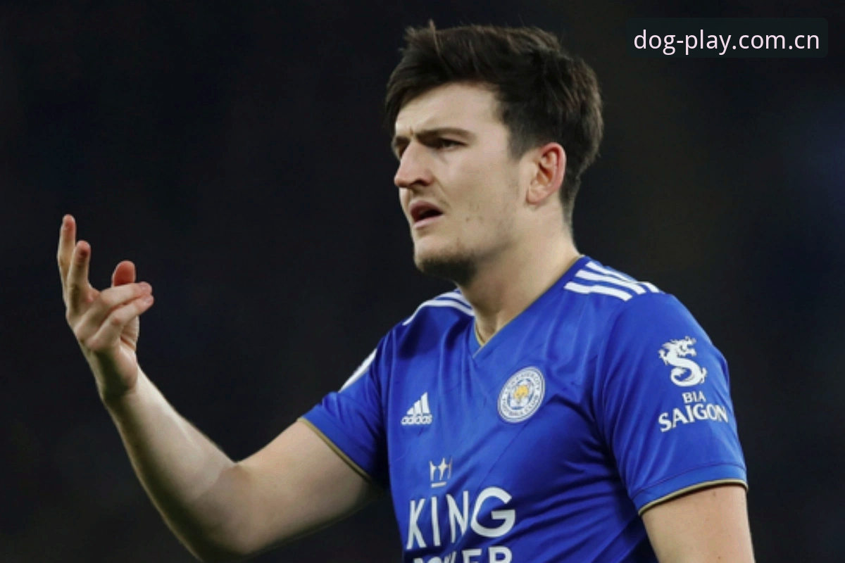 曼联中场双星计划：从博狗官方平台看红魔夏季引援的3个关键看点