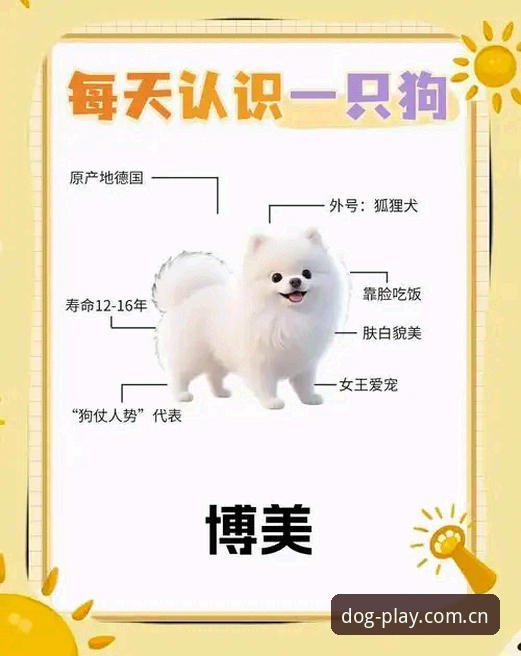 博狗手机版 博狗官方平台手机版到底值不值得用?老用户说出大实话