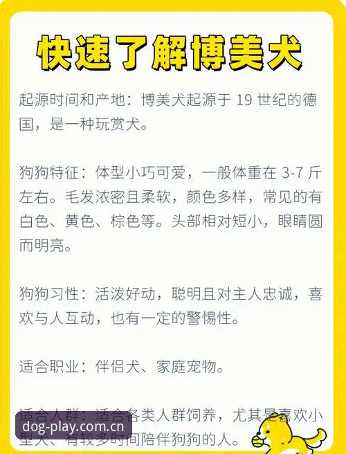 资深用户分享：博狗官方平台品牌信誉实战经验与使用心得